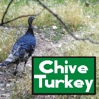 chiveturkeysuckafool's Avatar