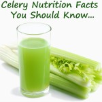 celery nutrition's Avatar