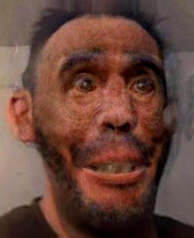 jdchimp